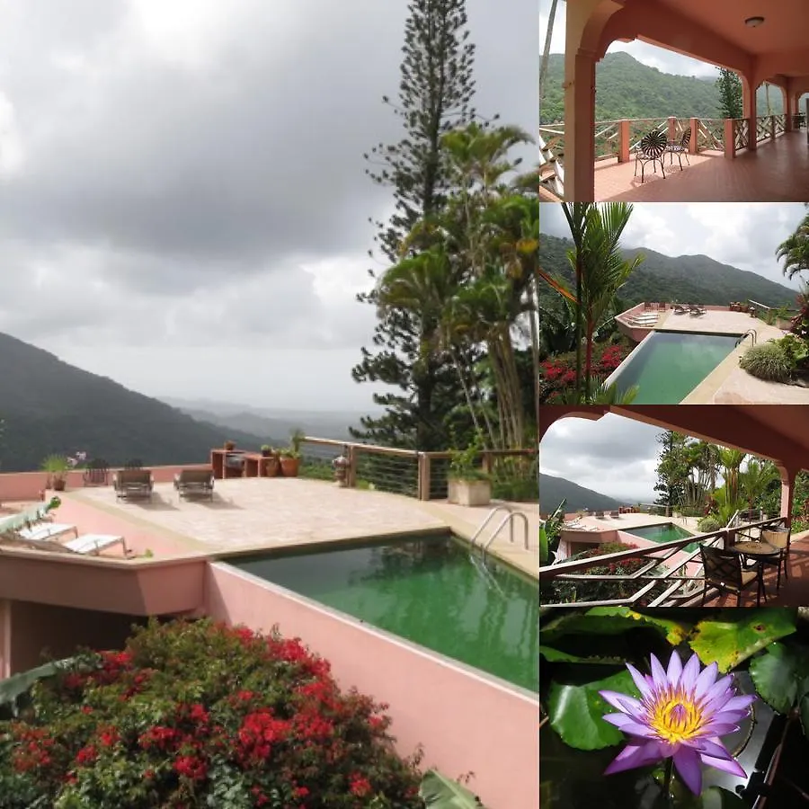 Casa Flamboyant Bed & Breakfast Naguabo